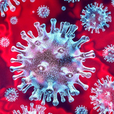 Informace k volbám do Senátu a zastupitelstev krajů (2)