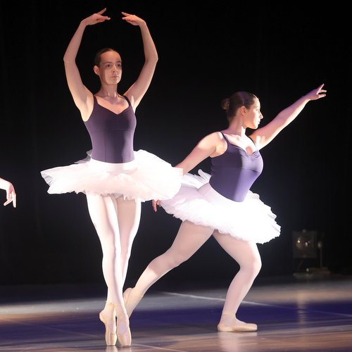 Informace k volbám do Senátu a zastupitelstev krajů (2)