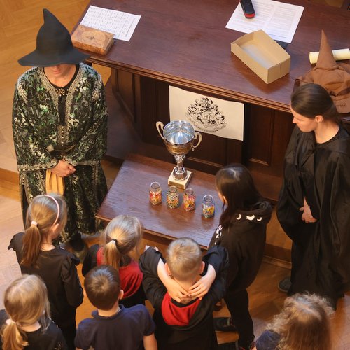 Informace k volbám do Senátu a zastupitelstev krajů (2)