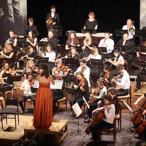 Informace k volbám do Senátu a zastupitelstev krajů (2)