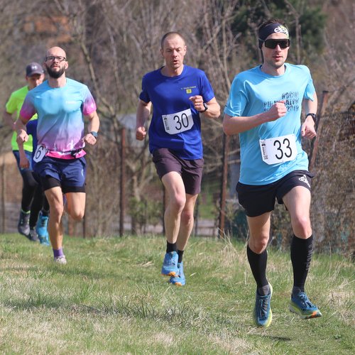 Informace k volbám do Senátu a zastupitelstev krajů (2)