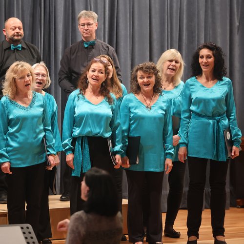 Informace k volbám do Senátu a zastupitelstev krajů (2)