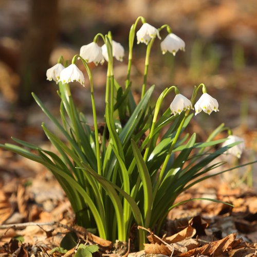 Informace k volbám do Senátu a zastupitelstev krajů (2)
