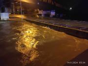 5a874b0d-75a0-4750-ac98-50099ca206bb